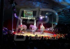 CIRCO22