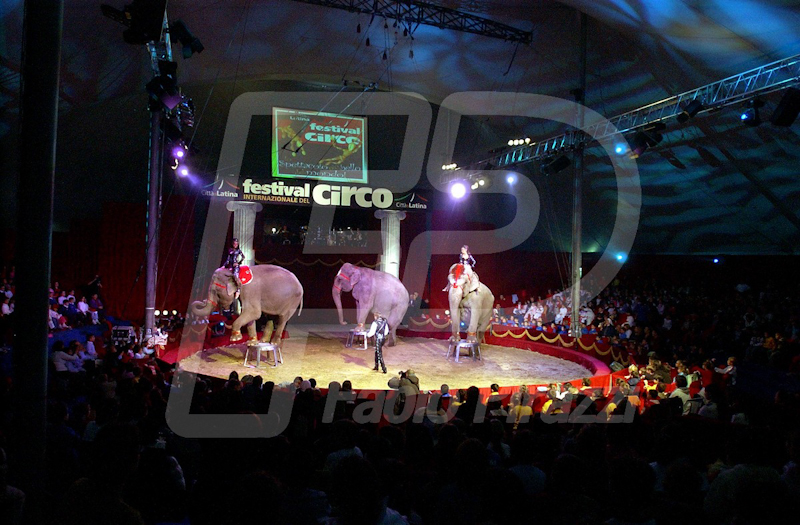 CIRCO22