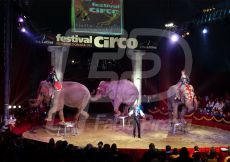 CIRCO23