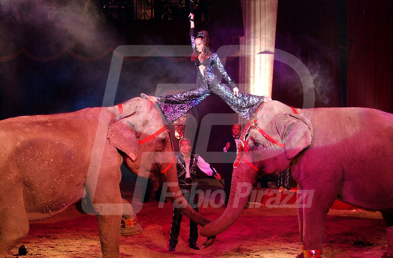 CIRCO27