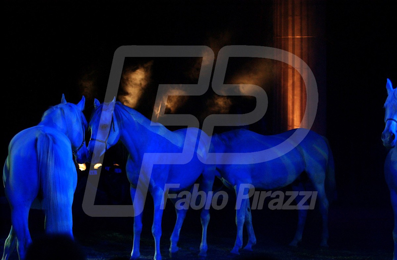 CIRCO82