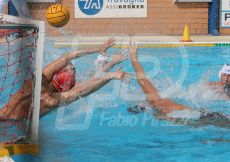 josep21