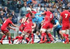 RUGBY 6 NAZIONI 2015