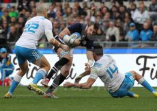 27/02/2016 ROMA STADIO OLIMPICO RUGBY 6 NAZIONI 2016 ITALIA-SCOZIA
NELLA FOTO :