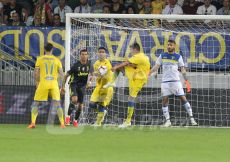 FABI2013-137