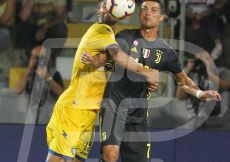 FABI2116-163