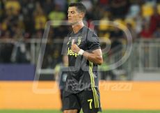 FABI2141-167
