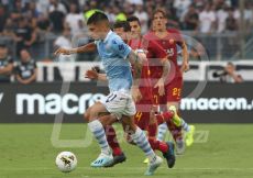 FABI8782-19