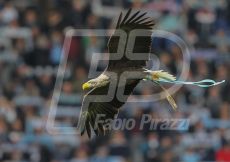 SERIE A LAZIO-SPAL